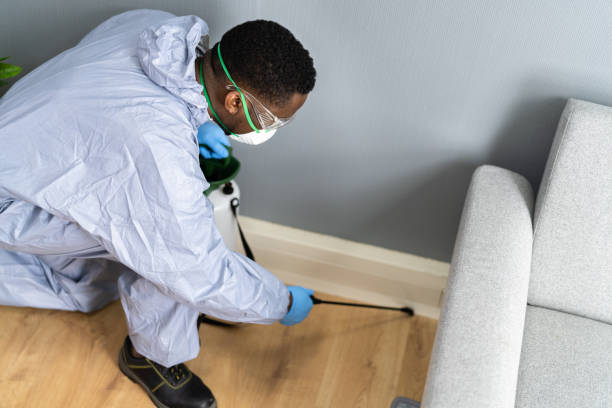 Best Real Estate Pest Inspections  in Sullivan City, TX